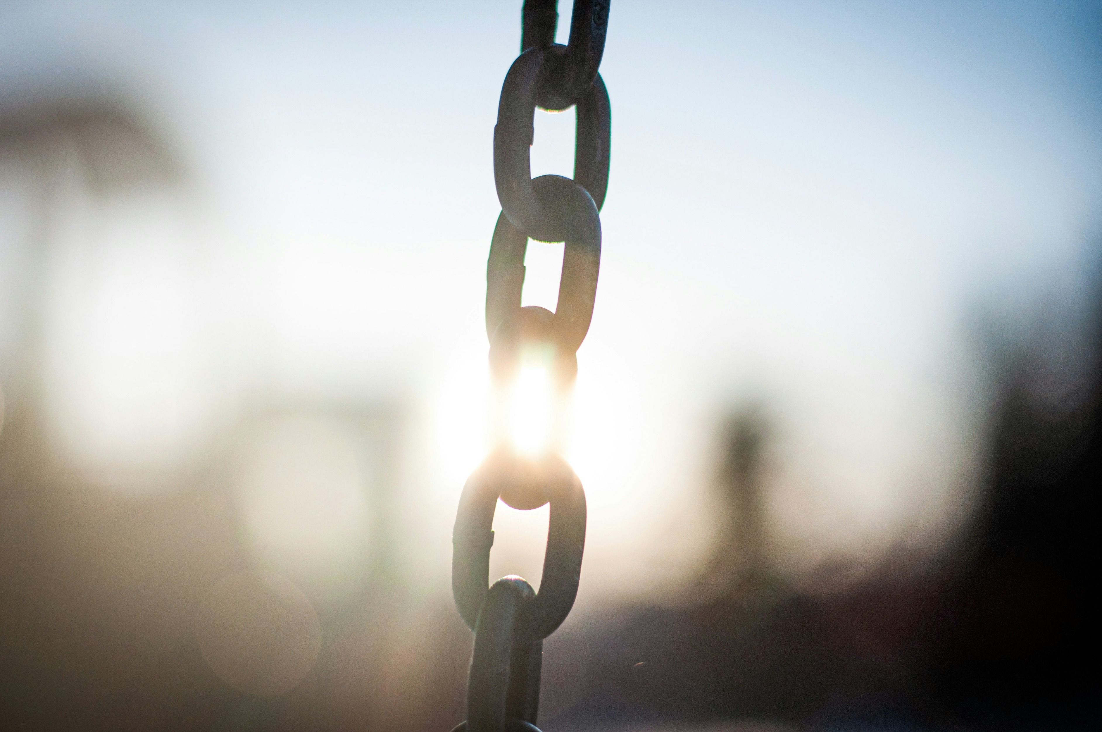 7 steps to stop doing what you clearly know is the wrong thing