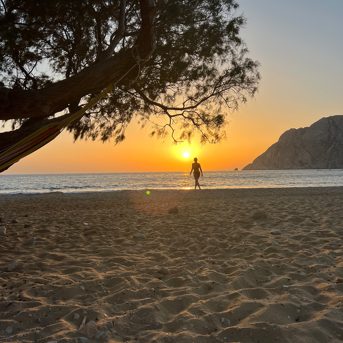 Sunset over a beach framed by trees